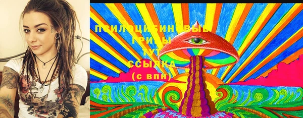ешки Новозыбков